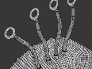 Toroidal Transformer 3D Model