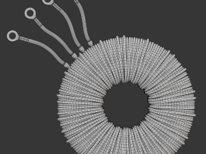 Toroidal Transformer Modelo 3D
