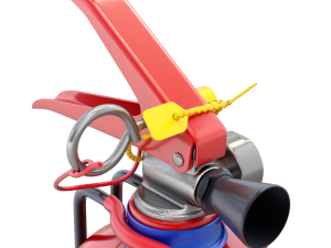 Car Fire Extinguisher 3D Model