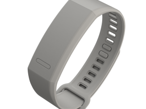 Huawei Band 2 Pro 3D Model