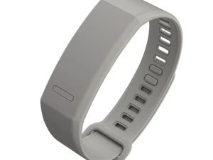 Huawei Band 2 Pro 3D Model