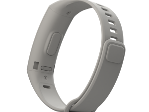 Huawei Band 2 Pro 3D Model