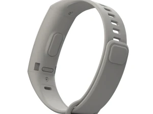 Huawei Band 2 Pro 3D Model