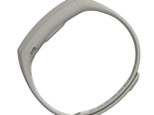 Huawei Band 2 Pro 3D Model