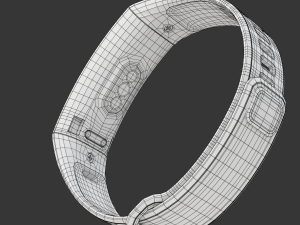 Huawei Band 2 Pro 3D Model