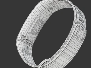 Huawei Band 2 Pro 3D Model