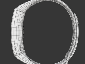 Huawei Band 2 Pro 3D Model