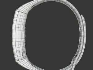 Huawei Band 2 Pro 3D Model