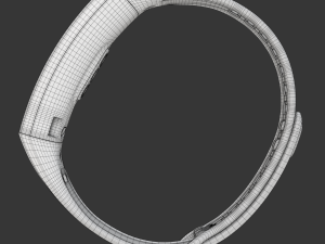 Huawei Band 2 Pro 3D Model