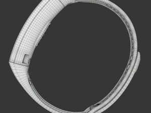 Huawei Band 2 Pro 3D Model