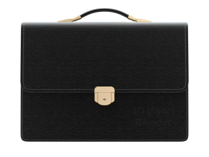 Leren aktetas 3D Model