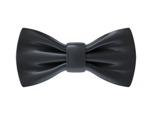 Bow Tie 3Dモデル