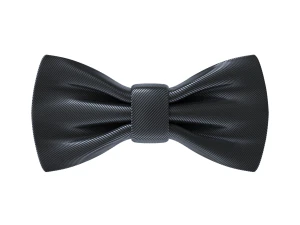 Bow Tie 3D Model