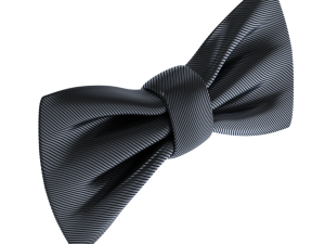 Bow Tie 3Dモデル