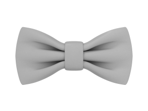 Bow Tie 3Dモデル