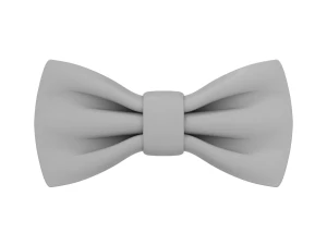 Bow Tie 3D Model