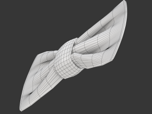 Bow Tie 3Dモデル