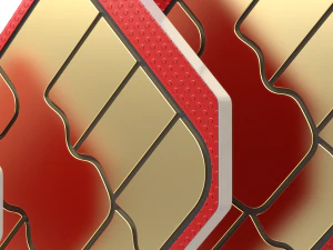 Standard Micro and Nano SIM Cards 3D Model