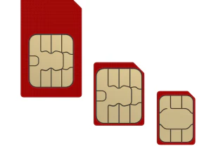 Standard Micro and Nano SIM Cards 3D Model