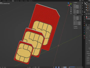 Standard Micro and Nano SIM Cards 3D Model