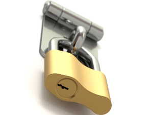 Latch with Padlock 3D Model