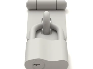 Latch with Padlock 3D Model