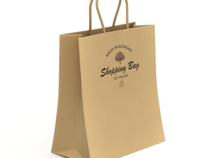 Shopping Bag Modelo 3D