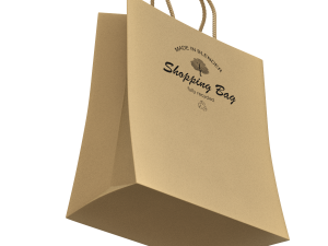 Shopping Bag 3D Model