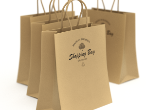 Shopping Bag 3D Model