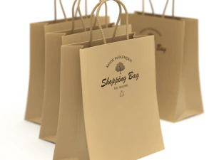 Shopping Bag 3D Model