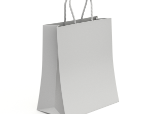 Shopping Bag 3D Model