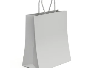 Shopping Bag 3D Model