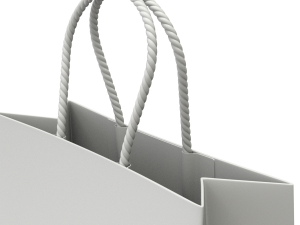 Shopping Bag 3D Model