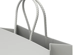 Shopping Bag 3D Model