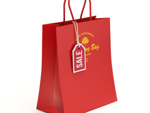 Shopping Bag 3D Model