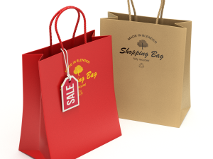 Shopping Bag 3D Model