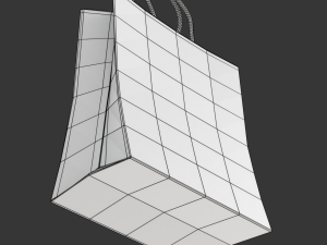 Shopping Bag 3D Model
