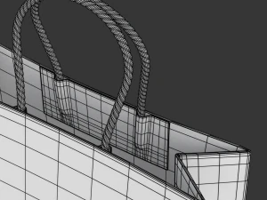 Shopping Bag 3D Model