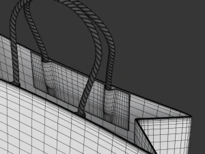 Shopping Bag 3D Model