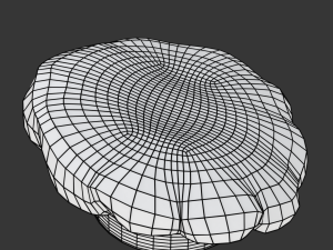 Chef Hat 3Dモデル