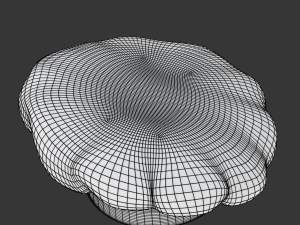 Chef Hat 3Dモデル