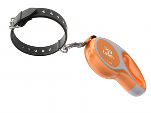 Dog Leash with Dog Collar 3D Model