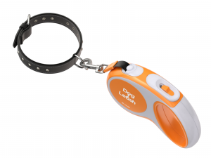 Dog Leash with Dog Collar 3D Model