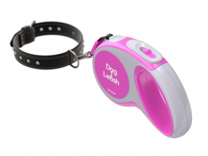 Dog Leash with Dog Collar 3D Model