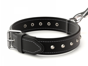 Dog Leash with Dog Collar 3D Model