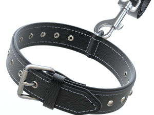 Dog Leash with Dog Collar 3D Model