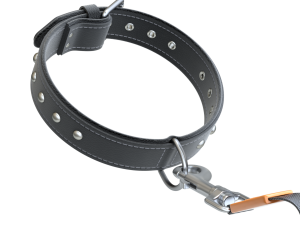 Dog Leash with Dog Collar 3D Model