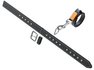 Dog Leash with Dog Collar 3D Model