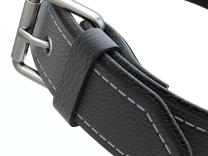 Dog Leash with Dog Collar 3D Model