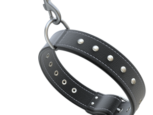 Dog Leash with Dog Collar 3D Model